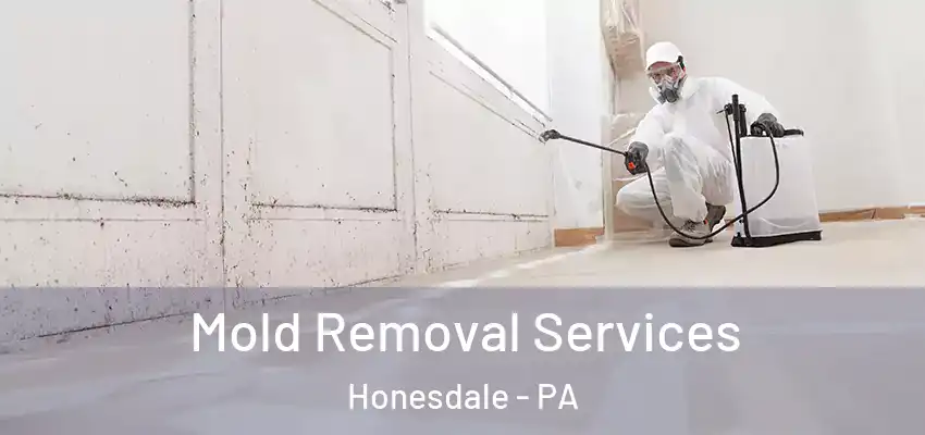 Mold Removal Services Honesdale - PA