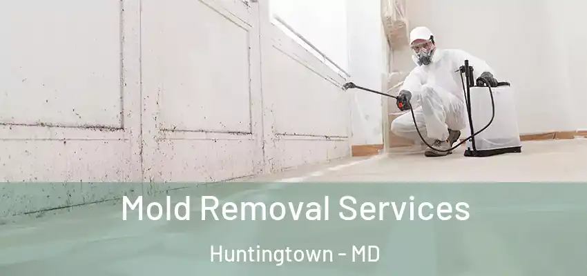 Mold Removal Services Huntingtown - MD