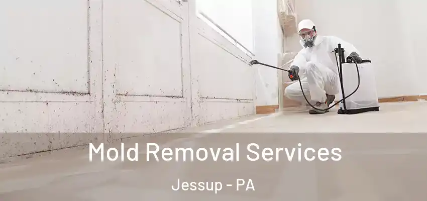 Mold Removal Services Jessup - PA