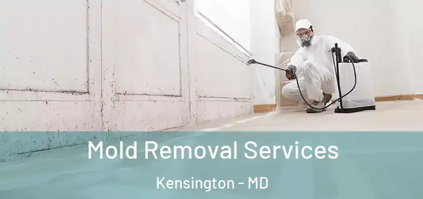 Mold Removal Services Kensington - MD