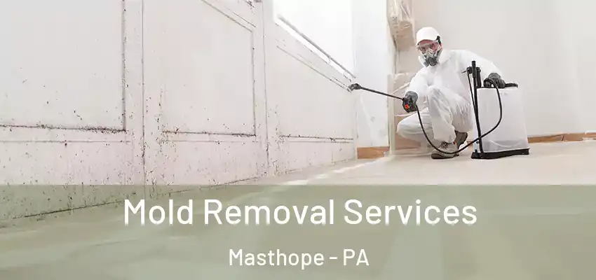 Mold Removal Services Masthope - PA