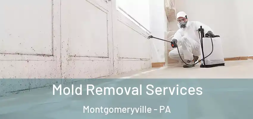 Mold Removal Services Montgomeryville - PA