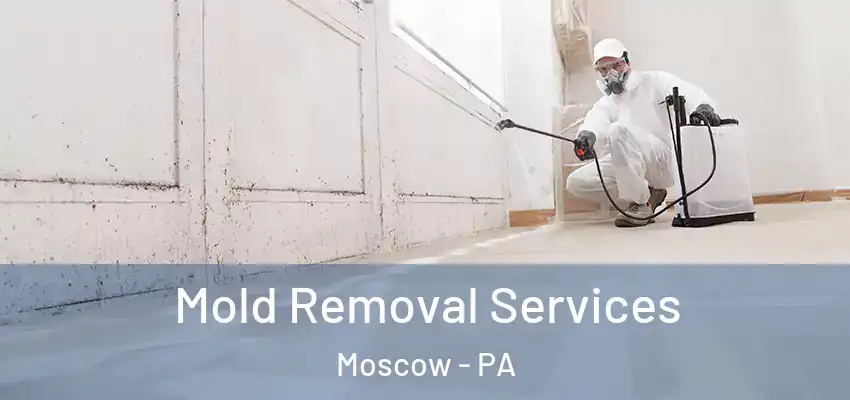  Mold Removal Services Moscow - PA