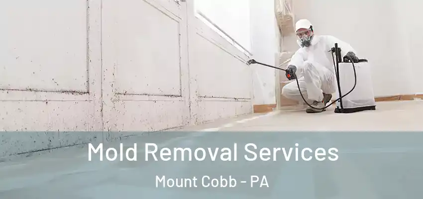 Mold Removal Services Mount Cobb - PA