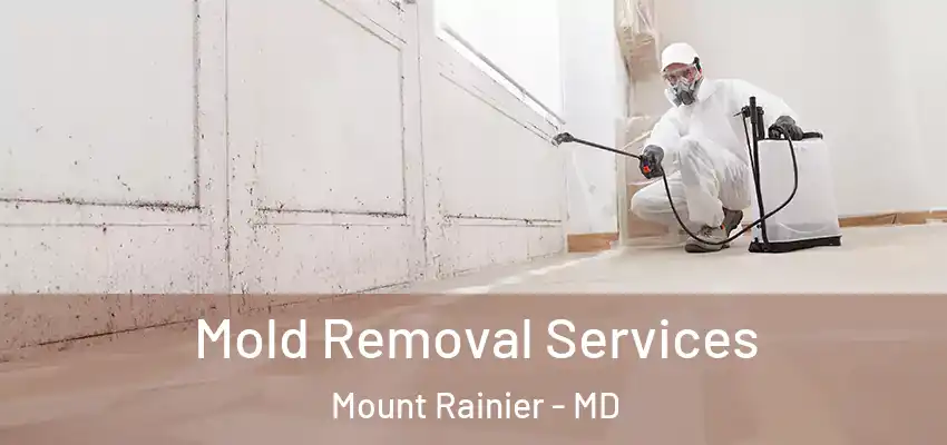 Mold Removal Services Mount Rainier - MD