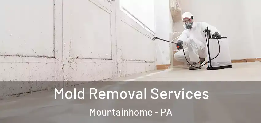Mold Removal Services Mountainhome - PA