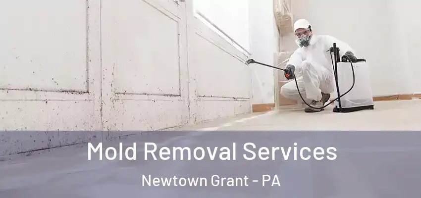 Mold Removal Services Newtown Grant - PA