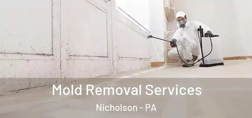  Mold Removal Services Nicholson - PA