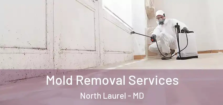 Mold Removal Services North Laurel - MD