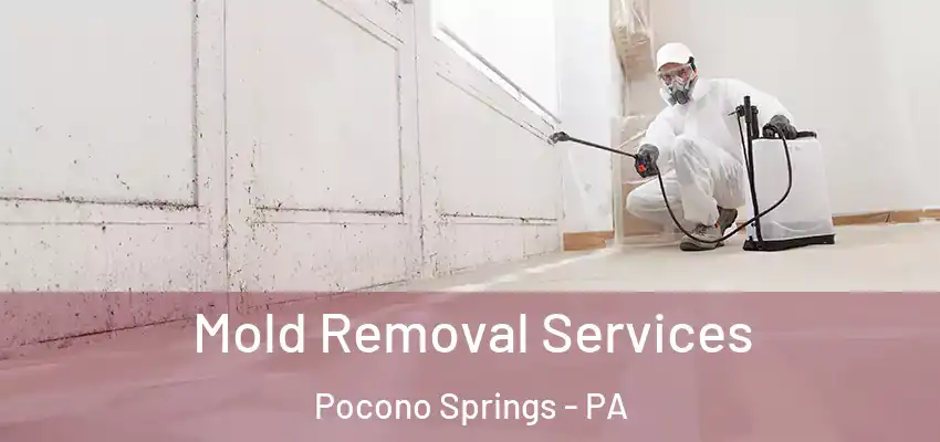 Mold Removal Services Pocono Springs - PA