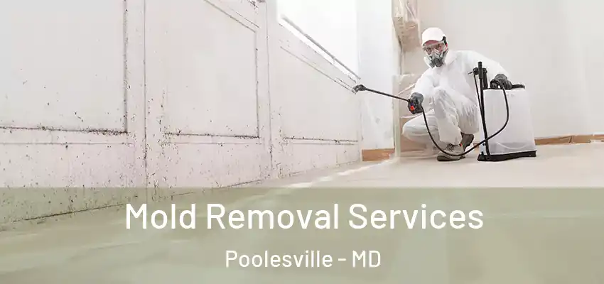 Mold Removal Services Poolesville - MD