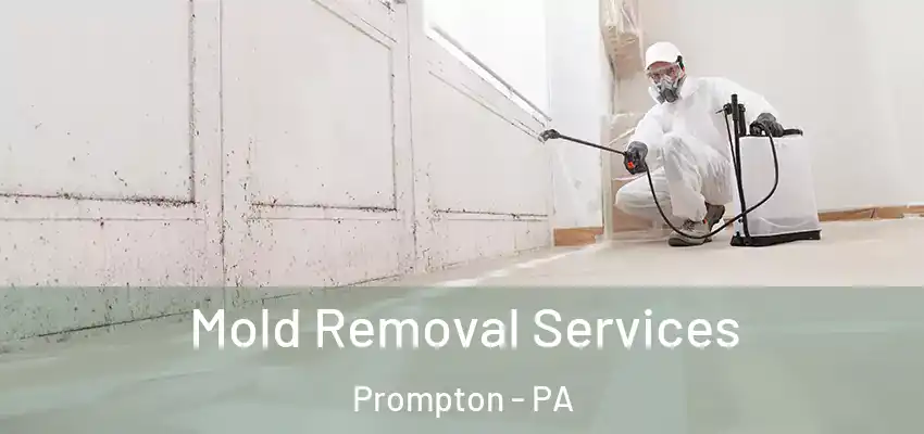 Mold Removal Services Prompton - PA