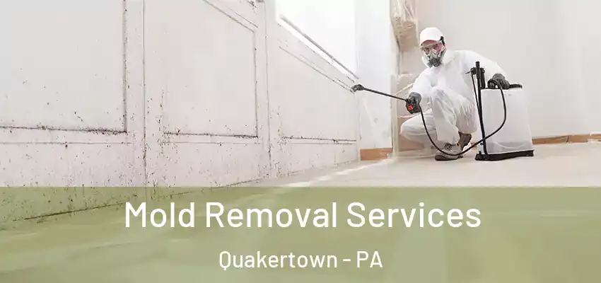 Mold Removal Services Quakertown - PA