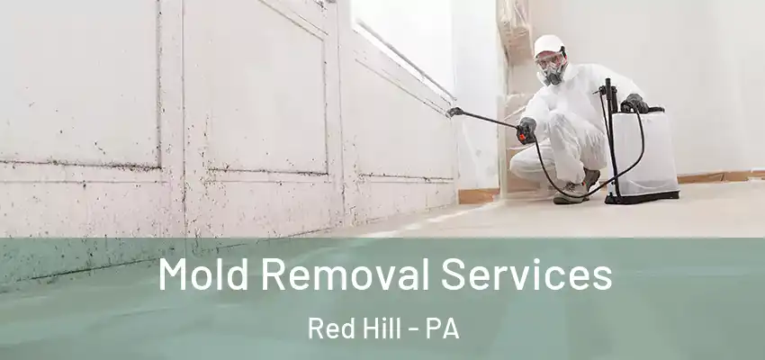 Mold Removal Services Red Hill - PA