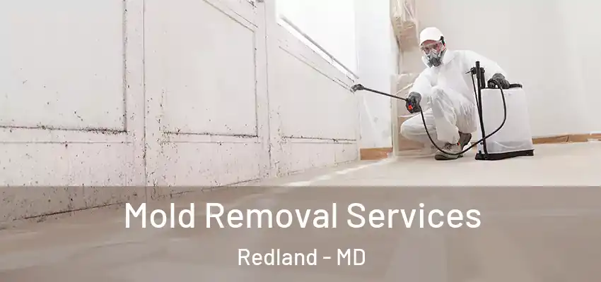 Mold Removal Services Redland - MD