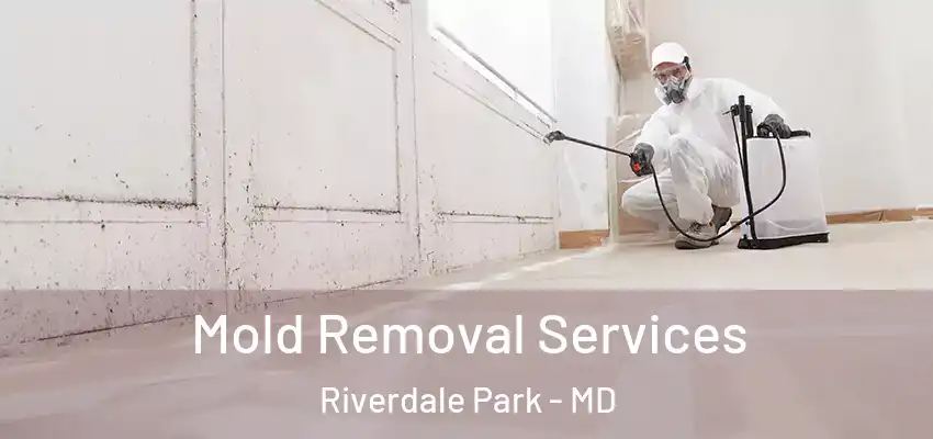 Mold Removal Services Riverdale Park - MD