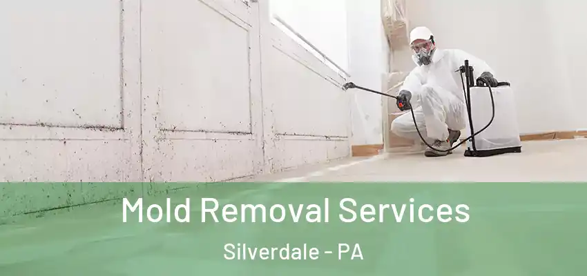 Mold Removal Services Silverdale - PA