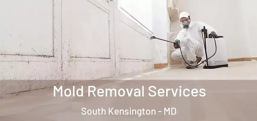 Mold Removal Services South Kensington - MD