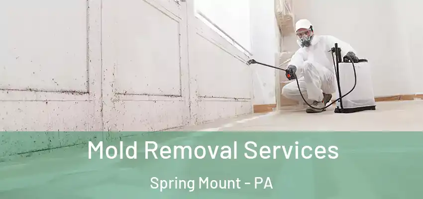 Mold Removal Services Spring Mount - PA
