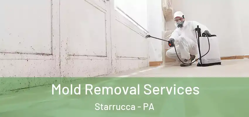 Mold Removal Services Starrucca - PA