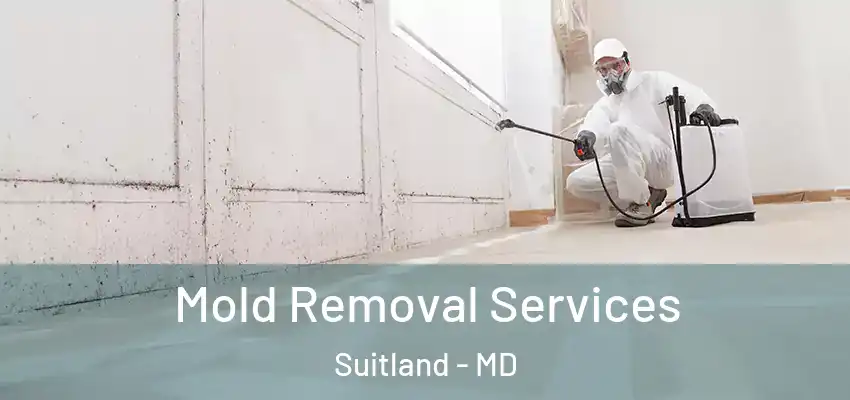 Mold Removal Services Suitland - MD