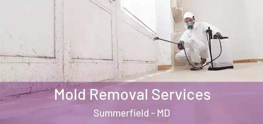 Mold Removal Services Summerfield - MD