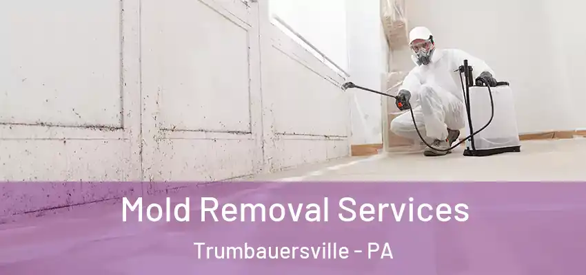 Mold Removal Services Trumbauersville - PA