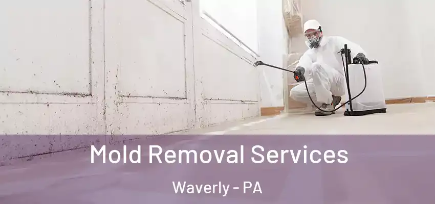  Mold Removal Services Waverly - PA