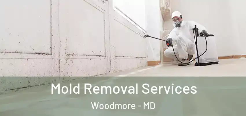 Mold Removal Services Woodmore - MD
