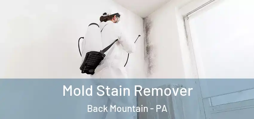 Mold Stain Remover Back Mountain - PA