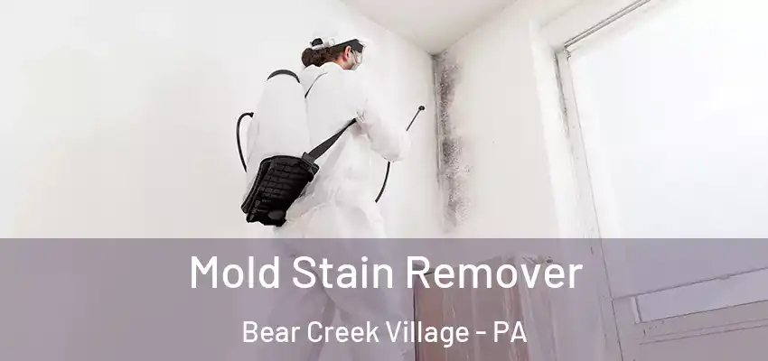 Mold Stain Remover Bear Creek Village - PA