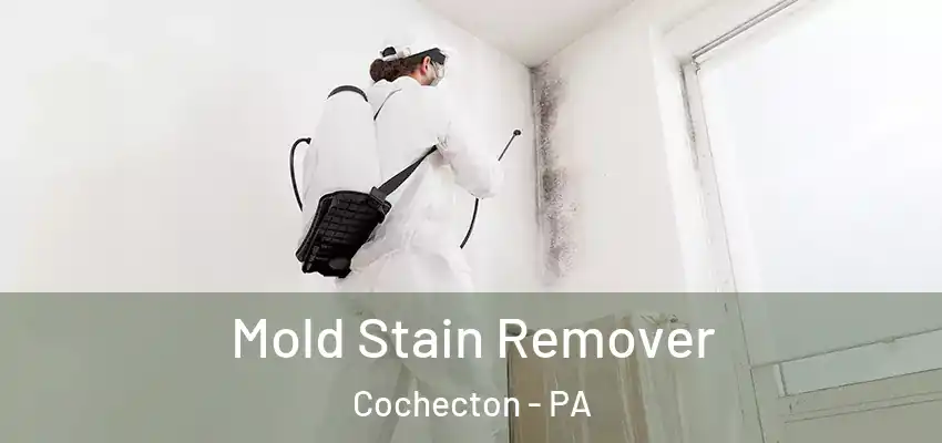 Mold Stain Remover Cochecton - PA