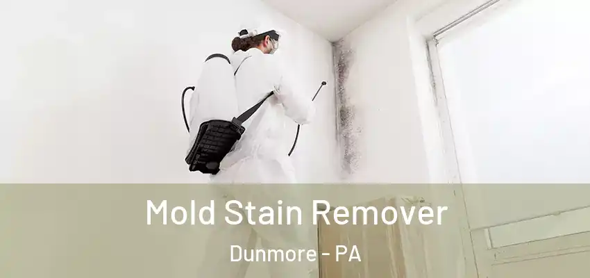 Mold Stain Remover Dunmore - PA