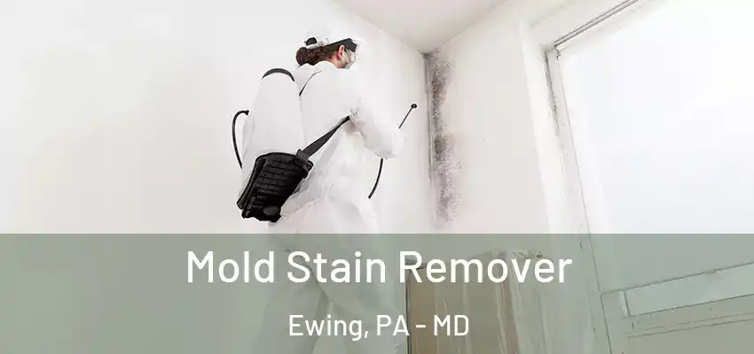Mold Stain Remover Ewing, PA - MD