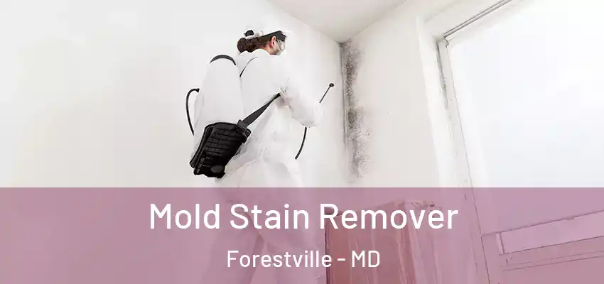 Mold Stain Remover Forestville - MD