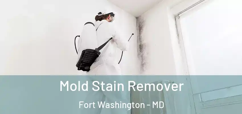 Mold Stain Remover Fort Washington - MD