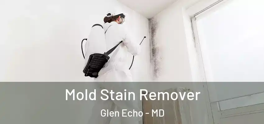 Mold Stain Remover Glen Echo - MD