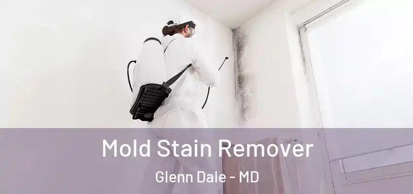 Mold Stain Remover Glenn Dale - MD