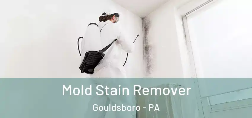 Mold Stain Remover Gouldsboro - PA