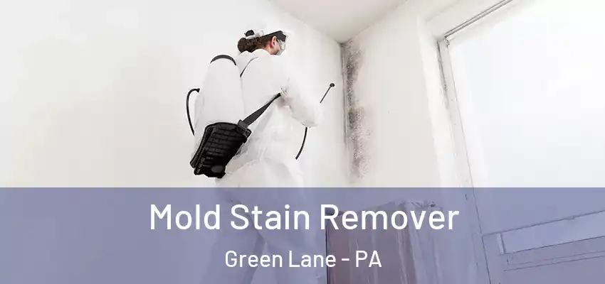 Mold Stain Remover Green Lane - PA