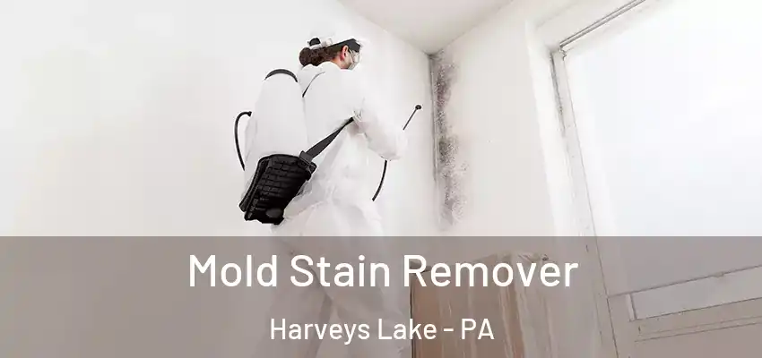 Mold Stain Remover Harveys Lake - PA