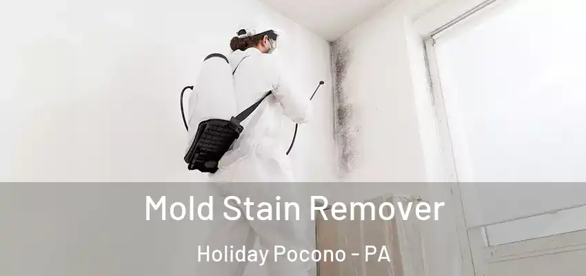 Mold Stain Remover Holiday Pocono - PA