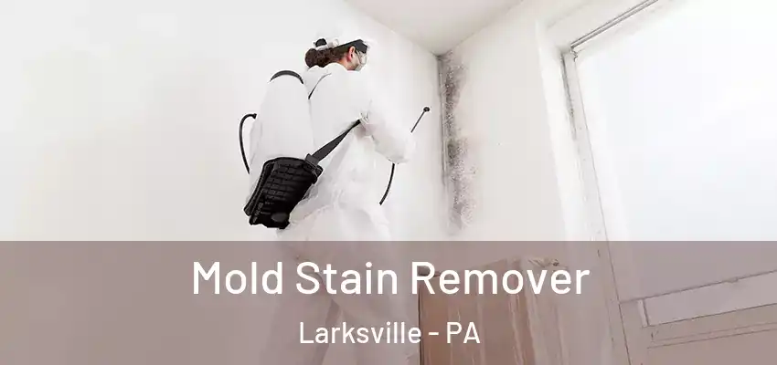 Mold Stain Remover Larksville - PA