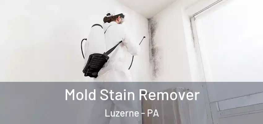 Mold Stain Remover Luzerne - PA