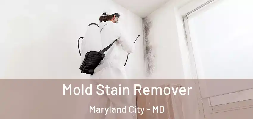 Mold Stain Remover Maryland City - MD