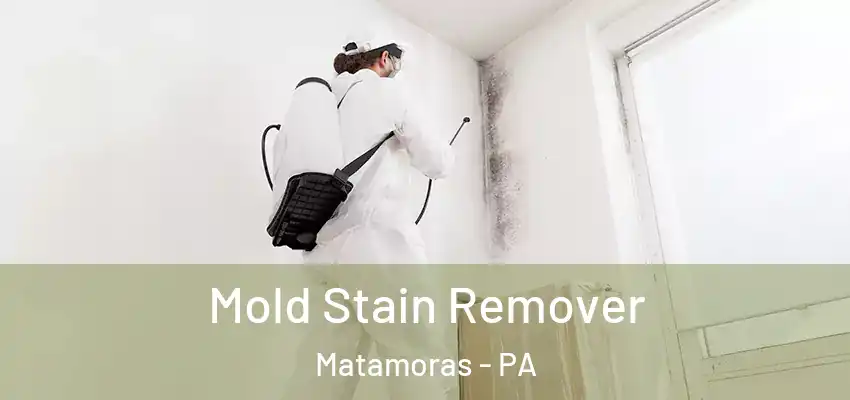 Mold Stain Remover Matamoras - PA