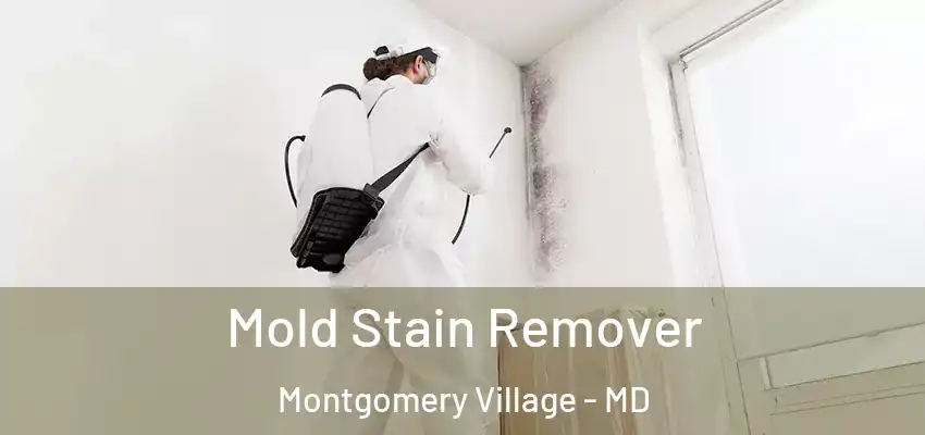 Mold Stain Remover Montgomery Village - MD
