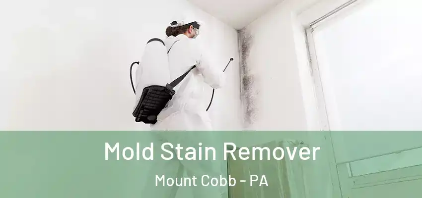 Mold Stain Remover Mount Cobb - PA