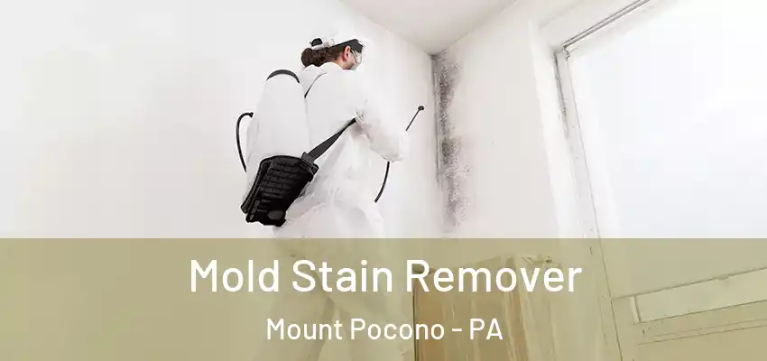  Mold Stain Remover Mount Pocono - PA