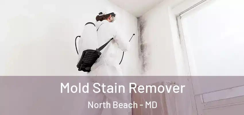 Mold Stain Remover North Beach - MD